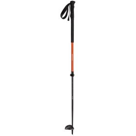 Camp Ski Drop