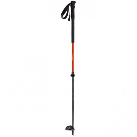 Camp Ski Drop