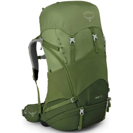 OSPREY ACE 75 venture green