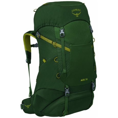 OSPREY ACE 38 green canopy/matcha green